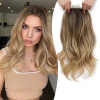 Ombre Brown Blonde